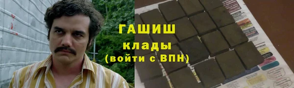 сатива Иннополис