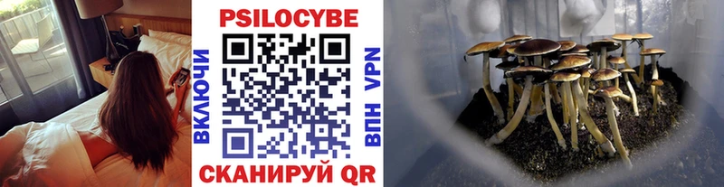 Псилоцибиновые грибы ЛСД  Подпорожье 